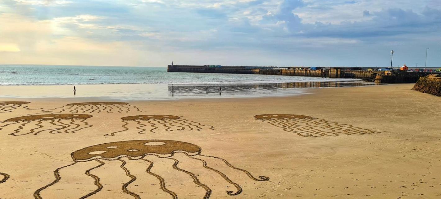 Modern Double Room With En-Suite, Parking & Fast Wifi - Close To Beach Sandgate Exteriér fotografie